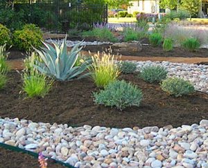 Deco & River Rock (Per Yard)