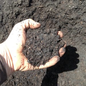 Composted Manure